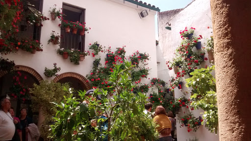 Tiendas de flores tipicas en Córdoba