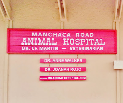 Dr. Rojo and staff at Manchaca Road Animal Hospital are amazing! Highly recommend! Best veterinarian in ATX. Dr