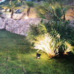 Photo n°13 de l'avis de gianni.a fait le 17/01/2020 à 16:04 sur le  La Forchetta del Castello Ristorante à Santa Lucia del Mela