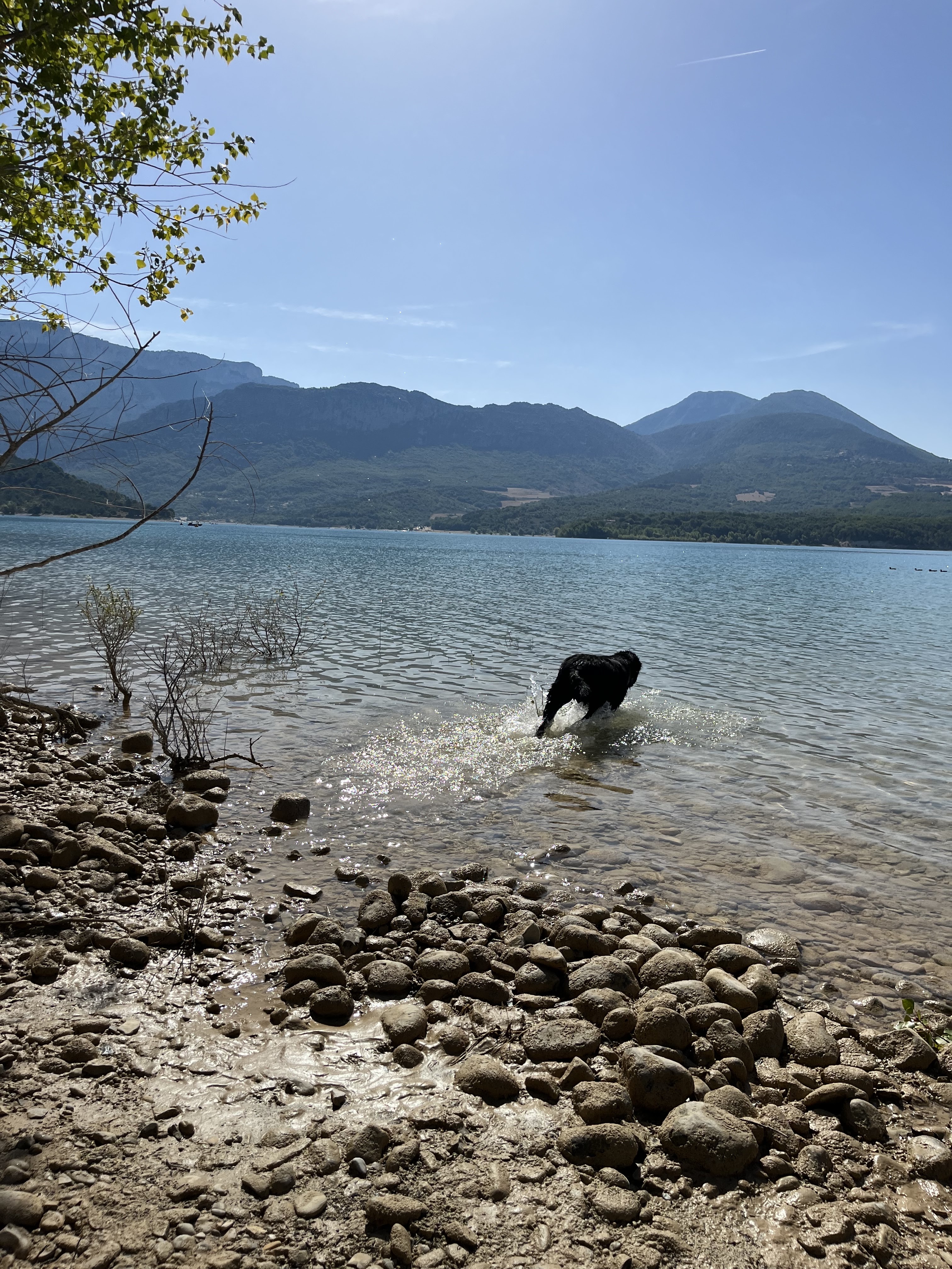 Photo n° 2 de l'avis de honganh.o fait le 19/08/2023 à 22:36