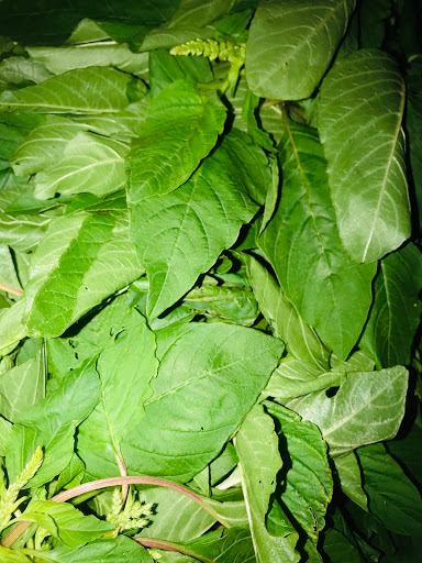 Grocery Store «Mt Everest Grocery LLC», reviews and photos, 6835 Loch Raven Blvd, Baltimore, MD 21286, USA