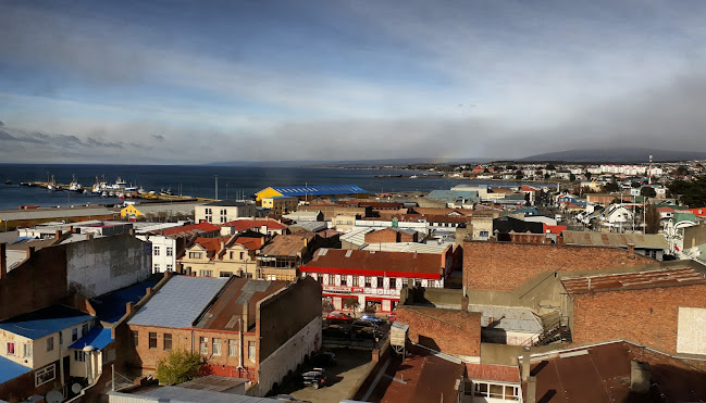 Austral Roller - Punta Arenas