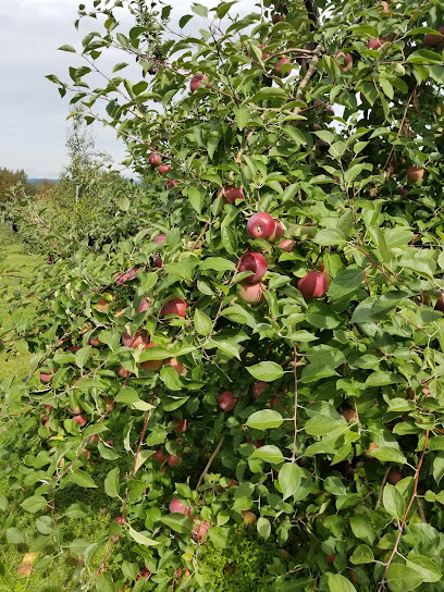 Lakeview Orchards