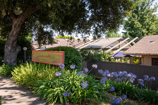Cynthia Cohn & Associates, Inc. image