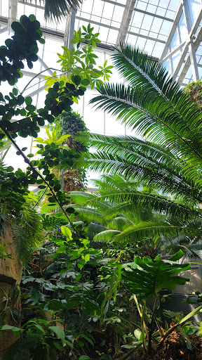 Gift Shop «Meijer Gardens Gift Shop», reviews and photos, 1000 E Beltline Ave NE, Grand Rapids, MI 49525, USA