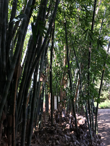 Tourist Attraction «Schindler house and studio», reviews and photos, 833 N Kings Rd, West Hollywood, CA 90069, USA