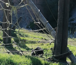 Africam Safari photo
