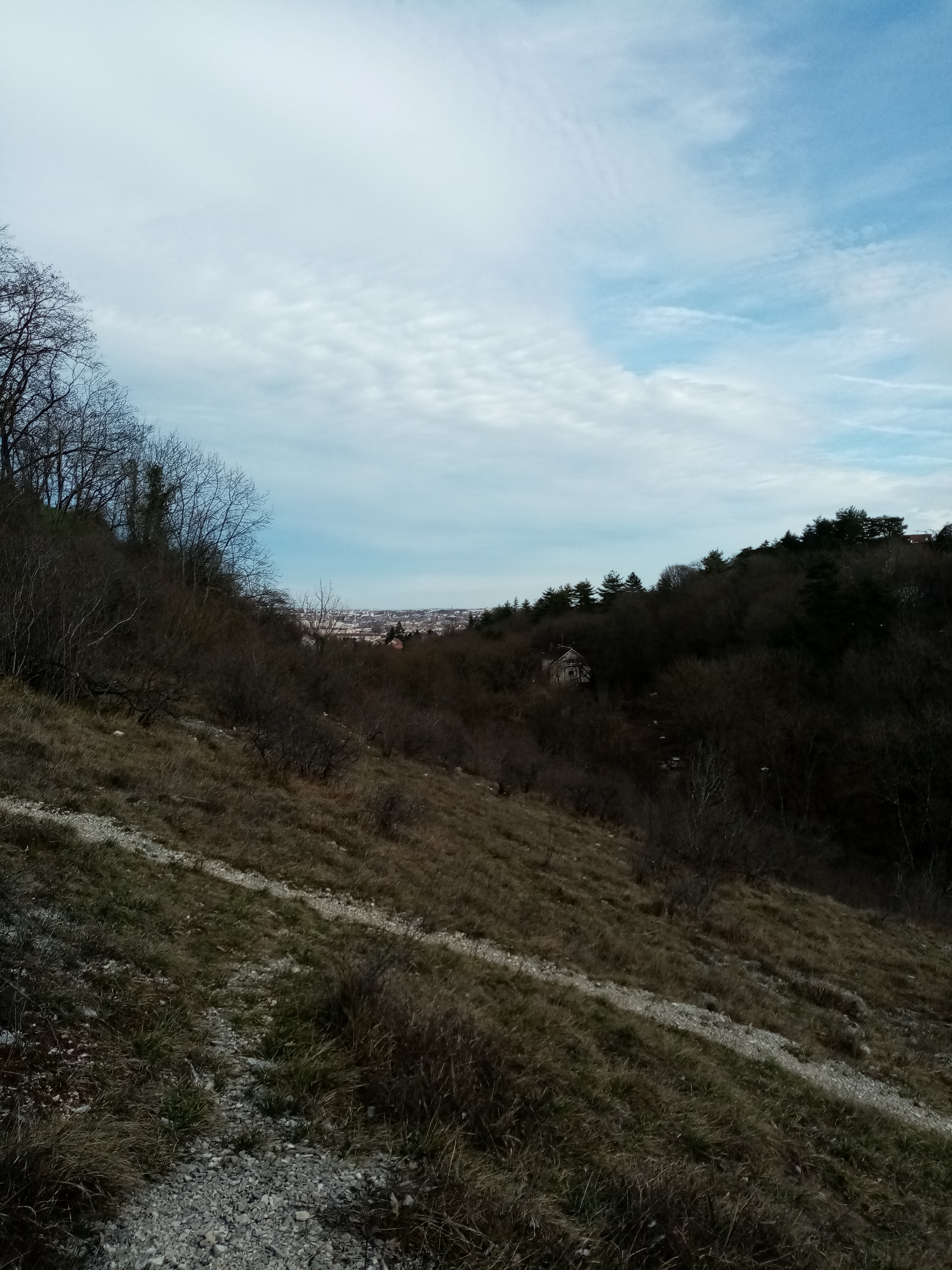 Photo n° 10 de l'avis de fanyse.M fait le 10/03/2020 à 21:18