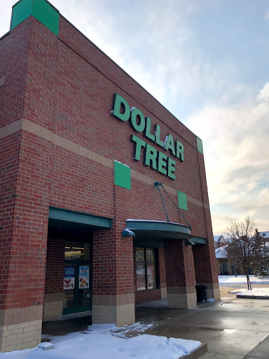 Dollar Store «Dollar Tree», reviews and photos, 2037 W Maple Rd, Troy, MI 48084, USA