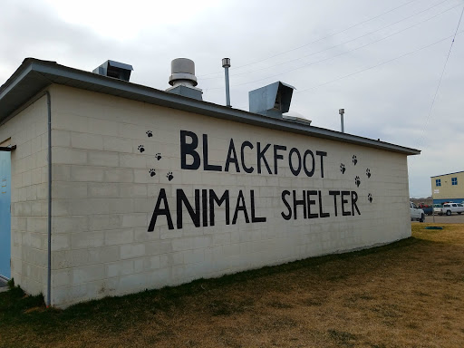 Blackfoot Animal Shelter