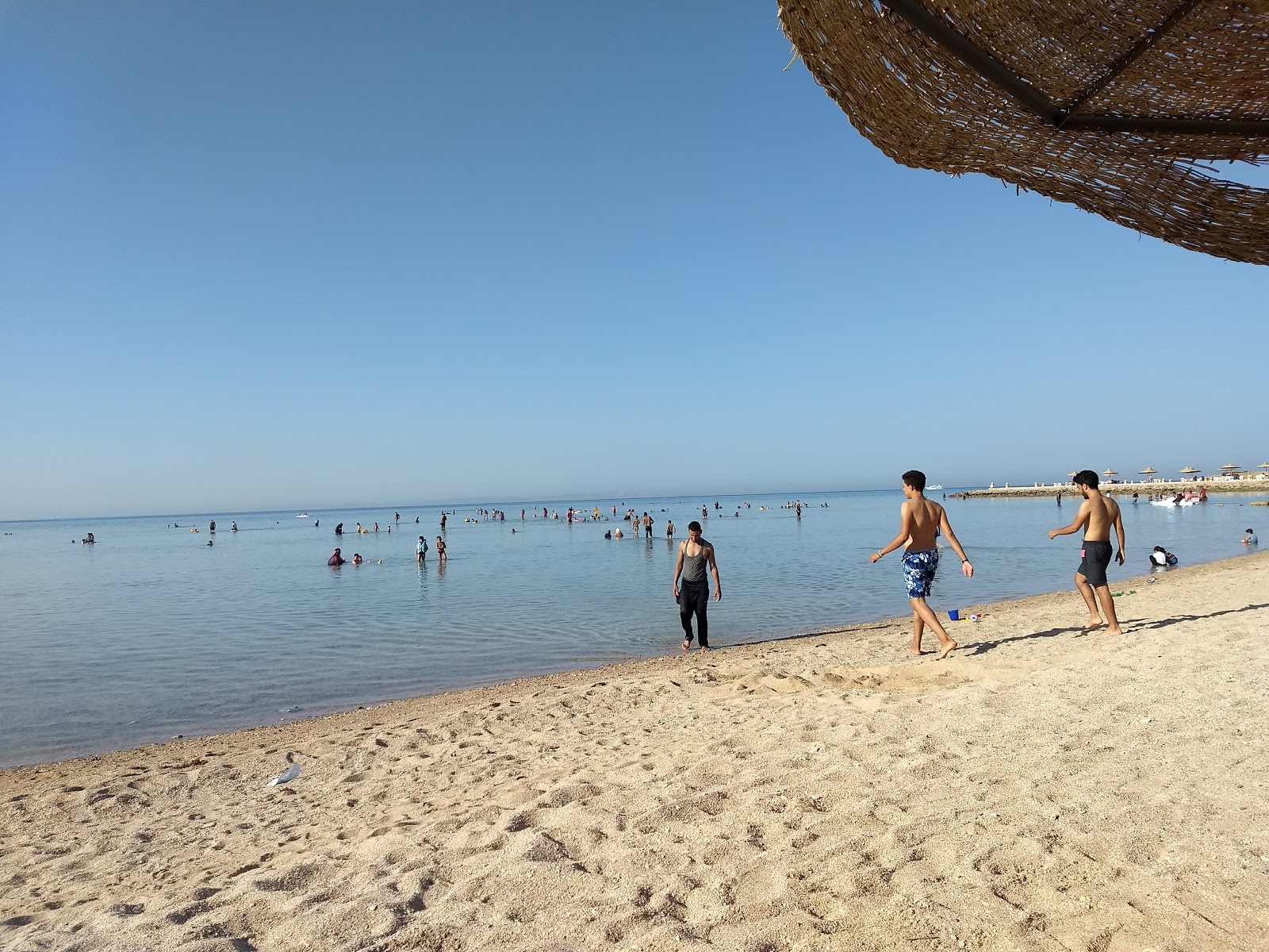 El Sawaky Beach photo #4