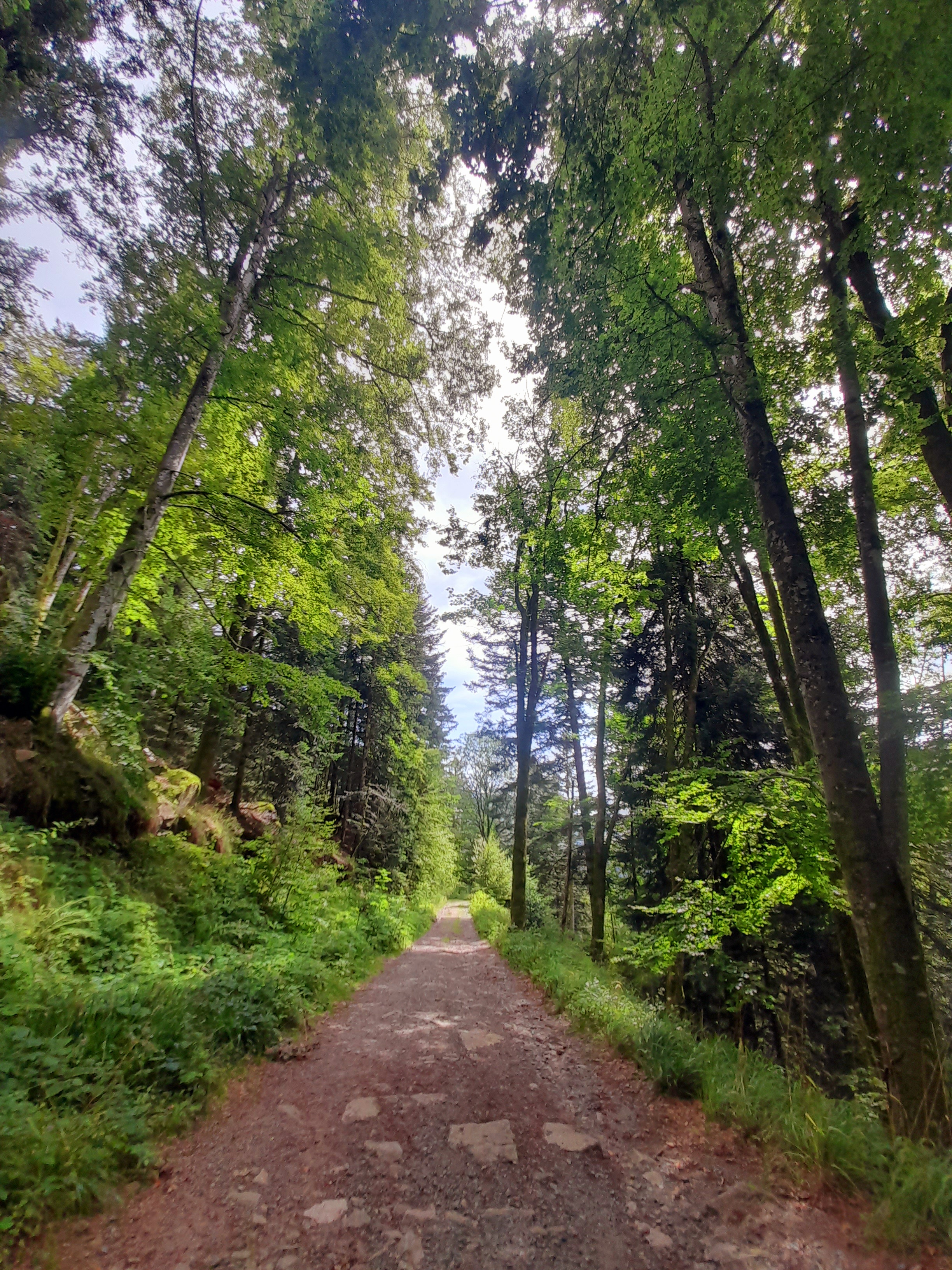 Photo n° 2 de l'avis de Graziella.i fait le 17/08/2023 à 19:20
