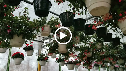 Florist «Dutch & Olgas Greenhouse», reviews and photos, 1285 NJ-36, Hazlet, NJ 07730, USA