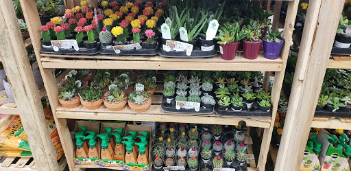 Home Improvement Store «The Home Depot», reviews and photos, 300 Thruway Plaza Dr, Cheektowaga, NY 14225, USA