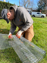 Upstate Pest & Wildlife Control - Photo 7 - Car repair in , Albany