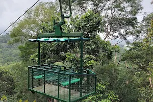 Gamboa Rainforest Reserve image