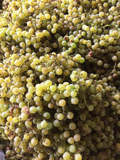 Winery «Morgan Creek Vineyards and Winery», reviews and photos, 23707 478th Ave, New Ulm, MN 56073, USA