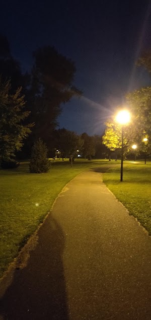Lions Park - photo 20