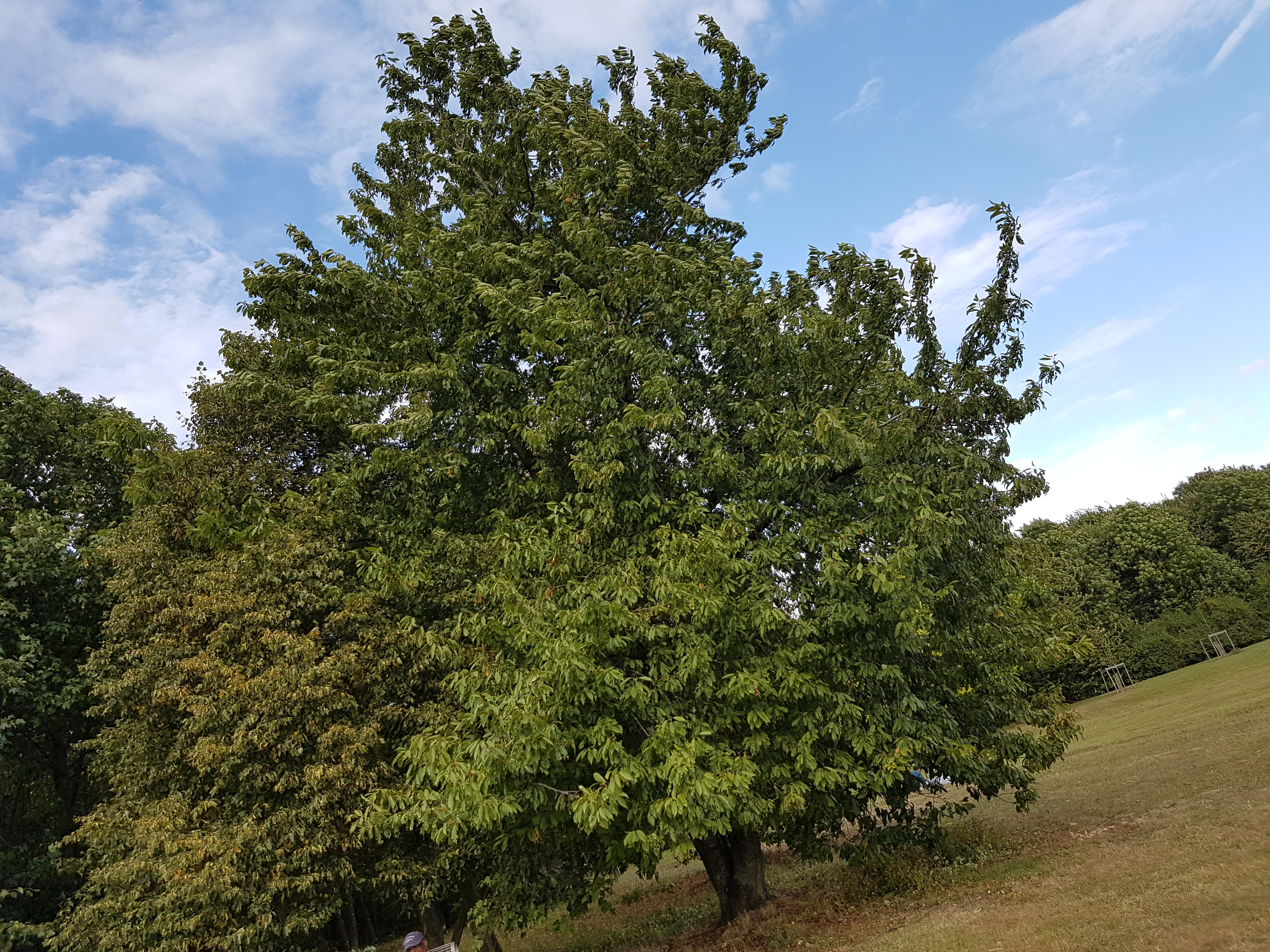 Photo n° 15 de l'avis de Madly.i fait le 13/09/2016 à 11:27