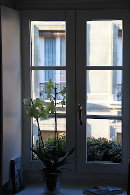 Les Toits de Paris - Chambre d'Hotes de charme a Paris à Paris