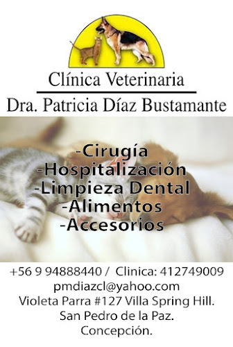 Opiniones de Clinica Veterinaria Dra Patricia Diaz Bustamante en San Pedro de La Paz - Veterinario