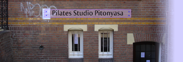 Pilates Studio Pitonyasa - Apeldoornseweg 53, 6814 BJ Arnhem, Netherlands