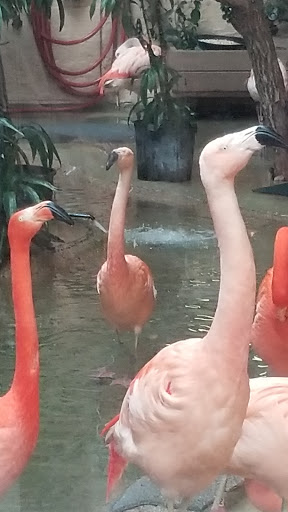 Museum «Tropical Discovery», reviews and photos, 2900 E 23rd Ave, Denver, CO 80205, USA