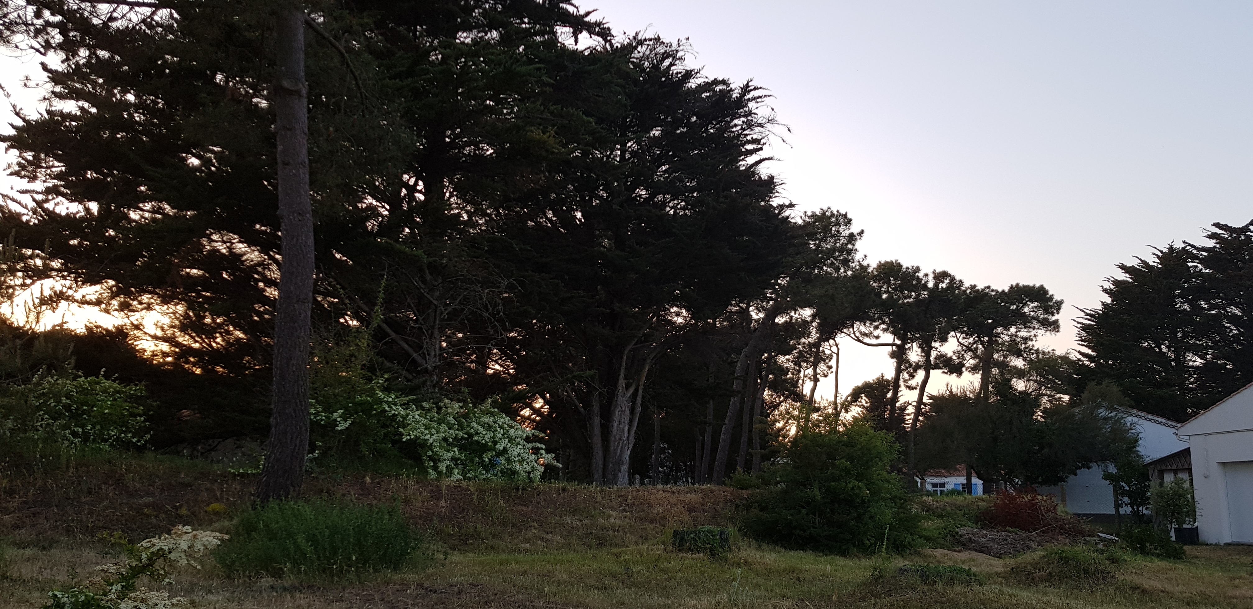 Photo n° 4 de l'avis de Marine.D fait le 21/05/2018 à 15:56