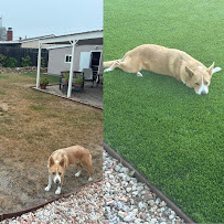 Biltright Turf - Photo 2 - Car repair in , Murrieta