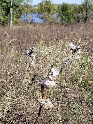 Nature Preserve «Audubon Center at Riverlands», reviews and photos, 301 Riverlands Way, West Alton, MO 63386, USA