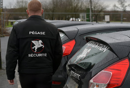 Agence de sécurité Pégase Sécurité Bois-de-Haye