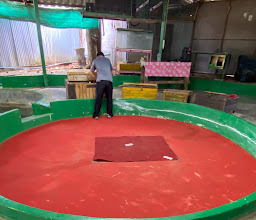 Kathu Cobra Show photo