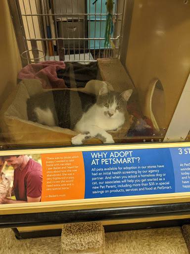 Pet Supply Store «PetSmart», reviews and photos, 1450 Spring Meadows Dr, Holland, OH 43528, USA
