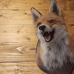 Photo n°5 de l'avis de Achim.i fait le 27/10/2021 à 18:59 sur le  Wirtshaus Wildpark-Alm à Weiskirchen