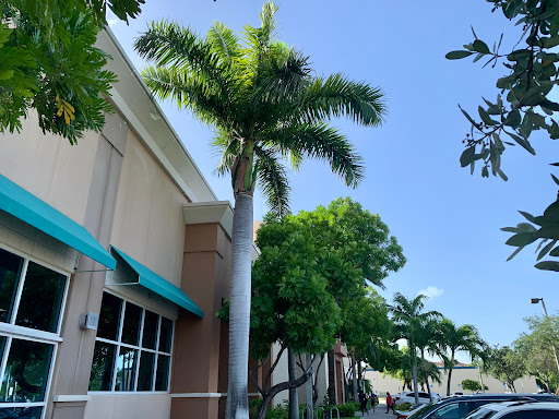 Gym «LA Fitness», reviews and photos, 3825 N Federal Hwy, Oakland Park, FL 33308, USA