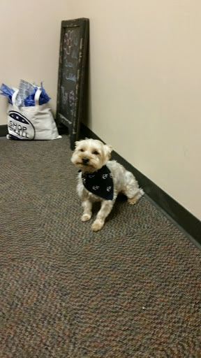 Jewelry Engraver «THE JEWELER», reviews and photos, 7405 Gall Blvd, Zephyrhills, FL 33541, USA