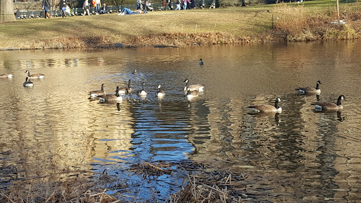 Garden «Conservatory Garden», reviews and photos, 402 5th Ave, New York, NY 10029, USA
