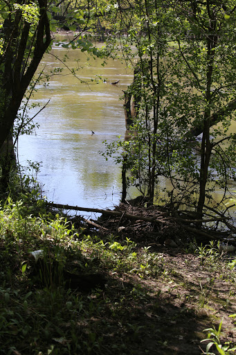 Nature Preserve «Schuth’s Grove», reviews and photos, 8040 W Cermak Rd, Riverside, IL 60546, USA