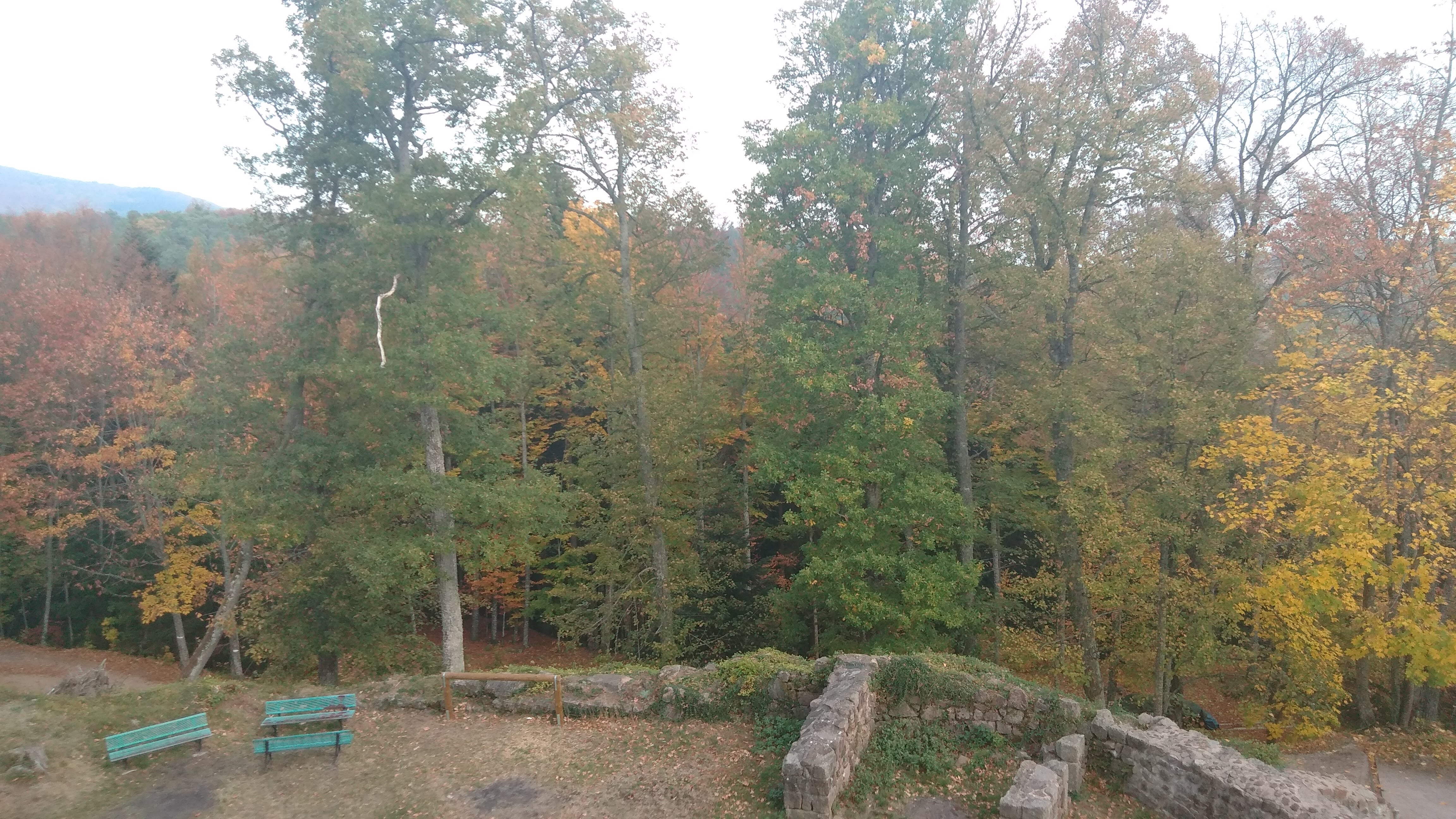 Photo n° 10 de l'avis de christophe.e fait le 04/11/2018 à 17:10