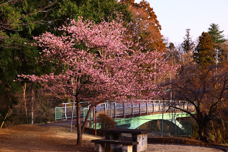 龍頭公園