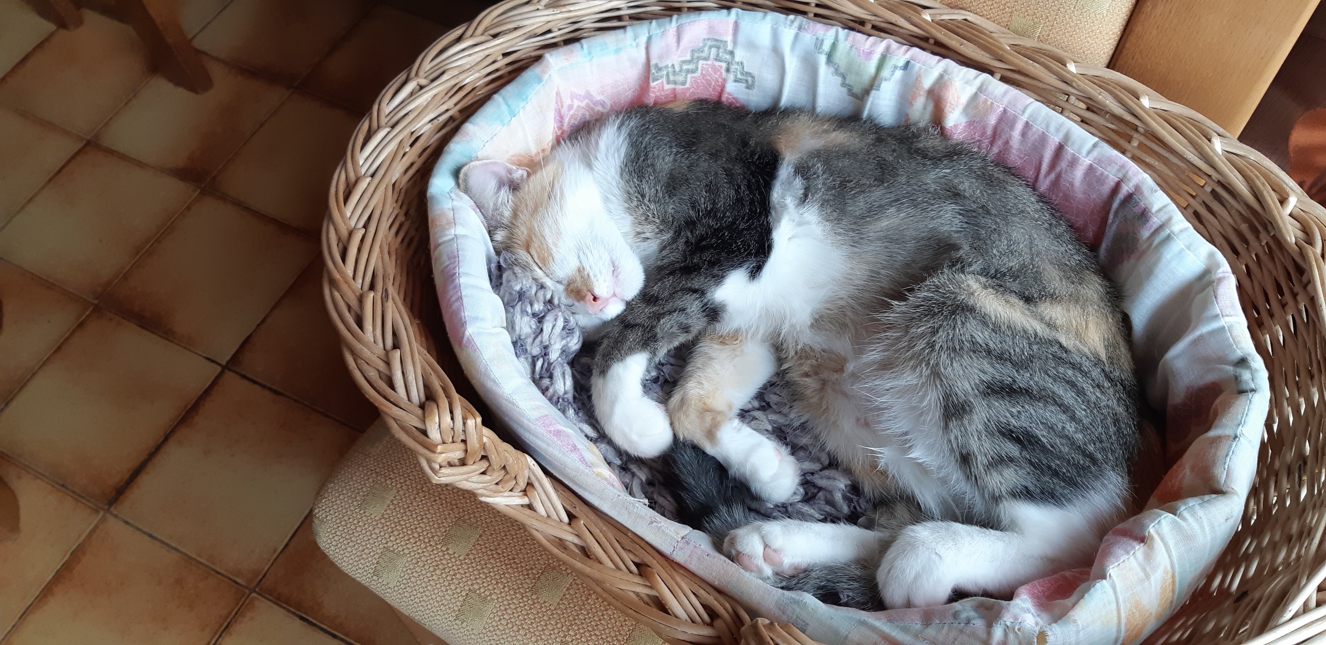 Photo n° 3 de l'avis de colette.a fait le 15/10/2019 à 17:46