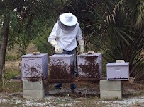 Lee Honey Bee Removal - Photo 2 - Car repair in Cape Coral, FL, Cape Coral