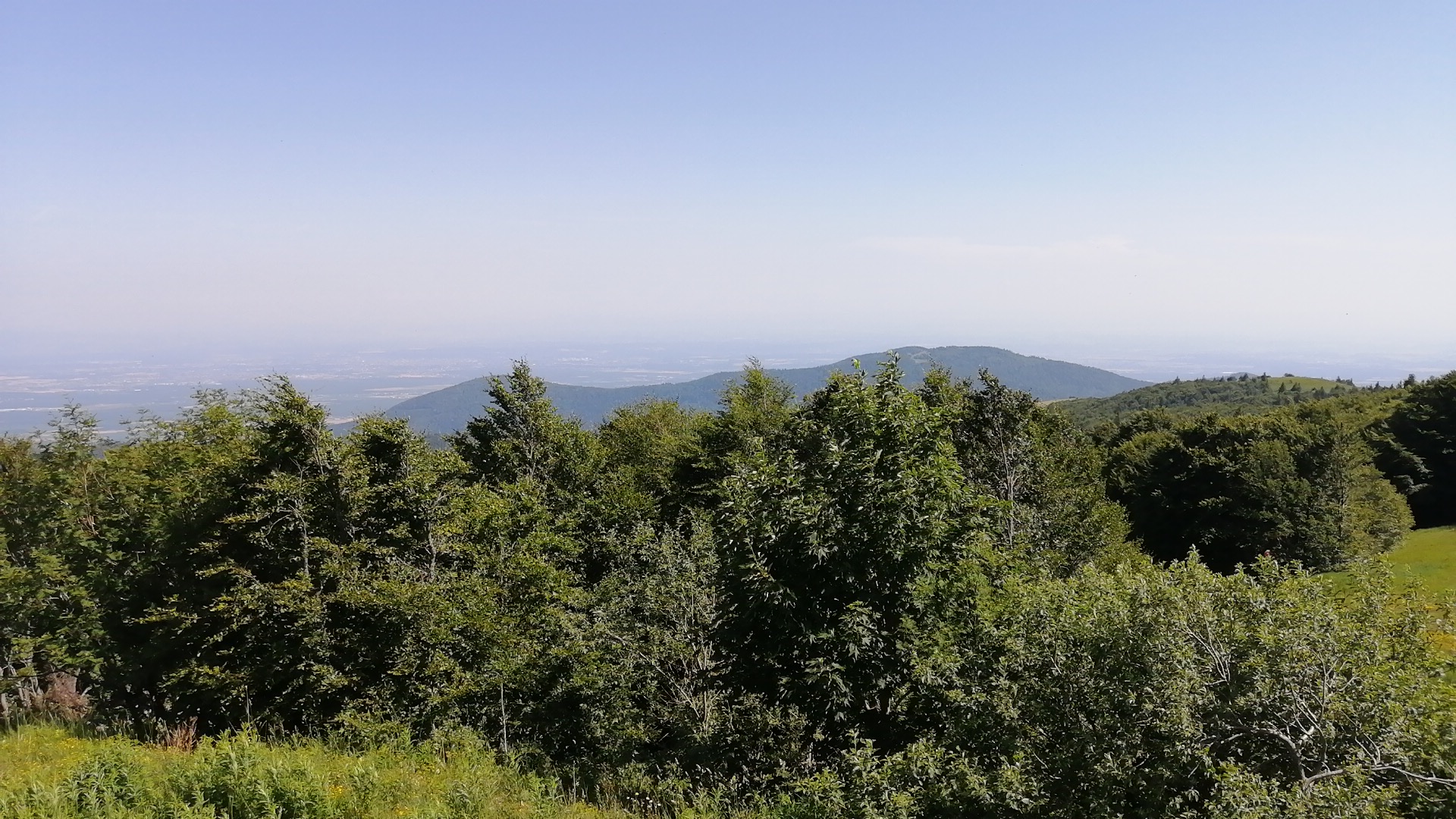Photo n° 1 de l'avis de J. fait le 30/06/2019 à 14:09