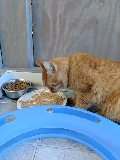 Pet Supply Store «Healthy Pet», reviews and photos, 16140 Boones Ferry Rd, Lake Oswego, OR 97035, USA