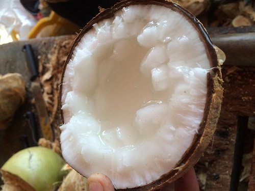 Top 5 cửa hàng abby Thành phố Trà Vinh Trà Vinh 2022