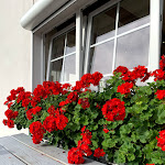 Photo n°3 de l'avis de Regina.o fait le 01/09/2020 à 15:01 sur le  Hotel Garni Schilling à Duisburg