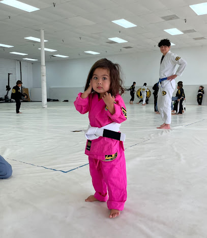 Fabin Rosa Brazilian Jiu Jitsu Academy Casselberry - 232 FL-436, Casselberry, FL 32707