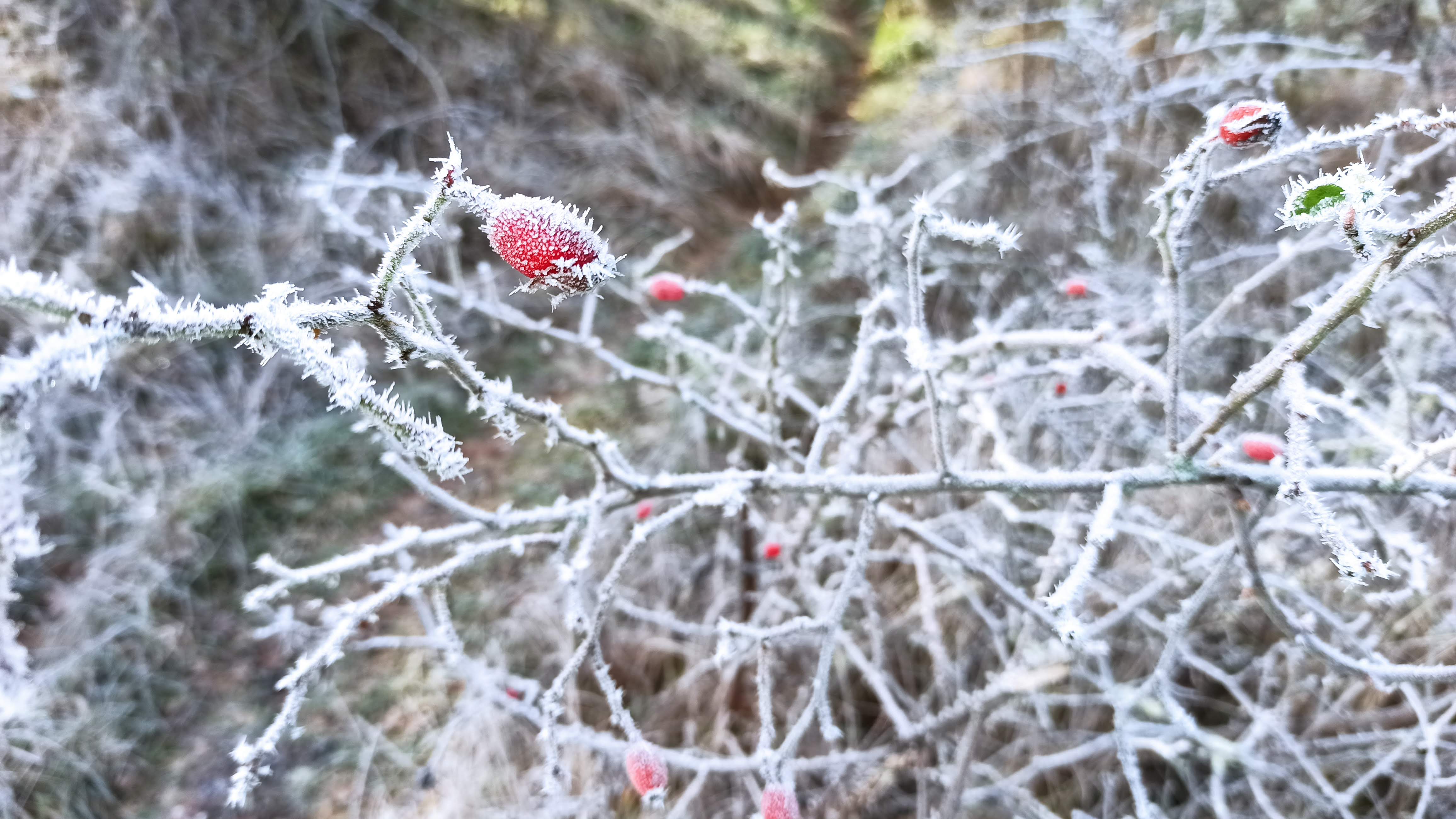 Photo n° 37 de l'avis de Veltas. fait le 30/10/2019 à 11:55