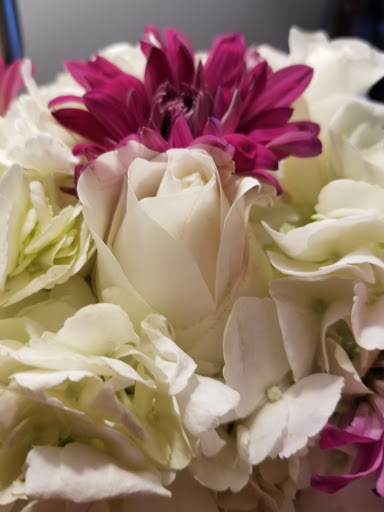 Lavender Goose, 1536 N Main St, Peckville, PA 18452, USA, 