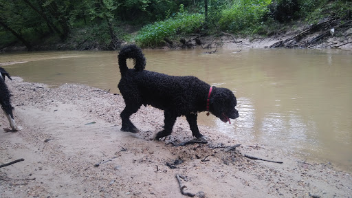 Park «McDade Park», reviews and photos, 3750 FM 2854 Rd, Conroe, TX 77304, USA